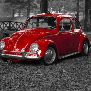 Volkswagen Escarabajo: el eterno favorito